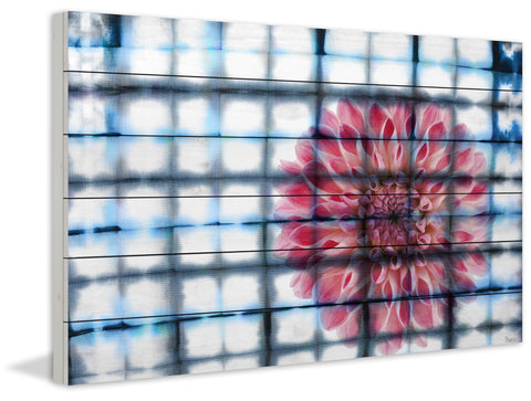Caged Peony