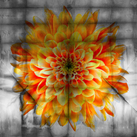 Citrus Flower