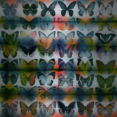 Butterflies Squared