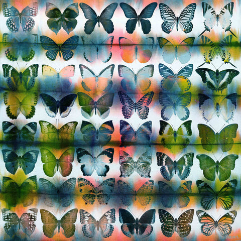Butterflies Squared
