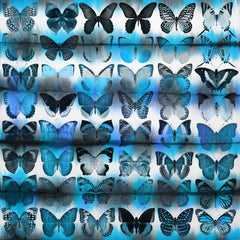 Moth