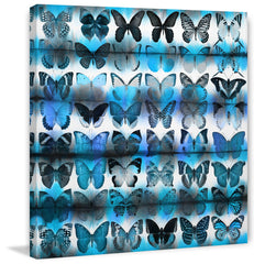 Moth