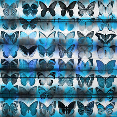 Moth Blue