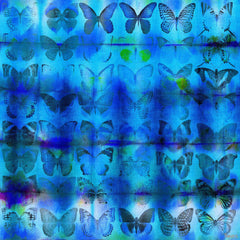 Sea Blue Wings