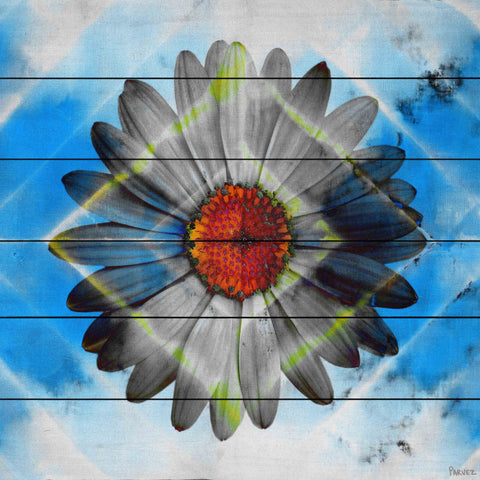 Lighted Daisy