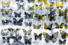 Yellow Wings
