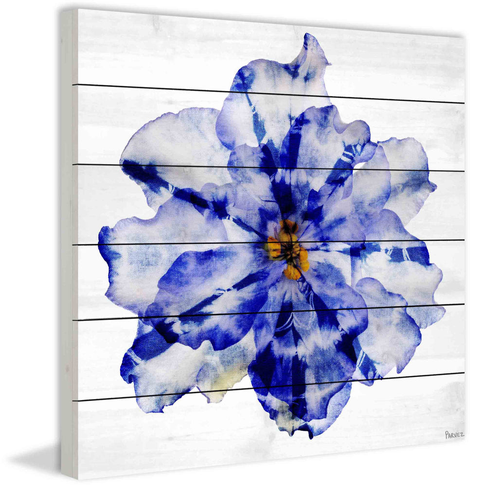Blue and White Flower