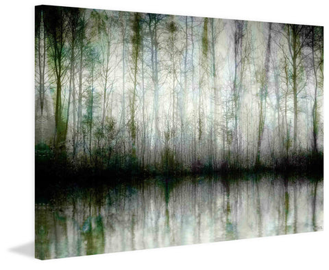 Wispy Trees
