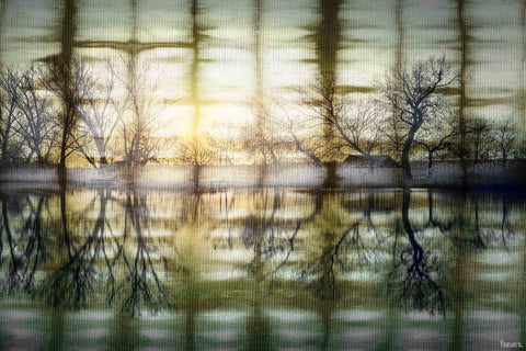 Calming Reflection