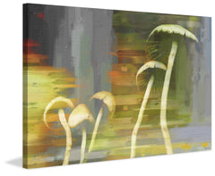 Fungi