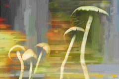 Fungi