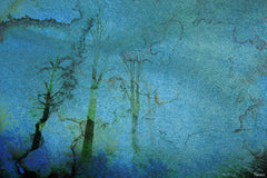 Stormy Night