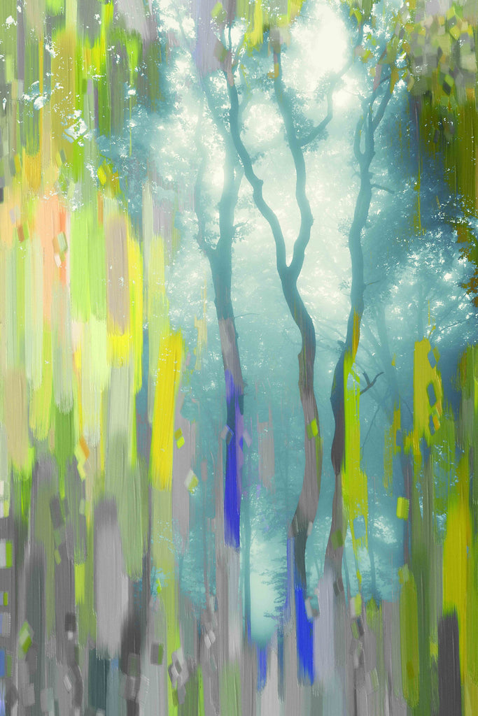 Painted Tree Forest
