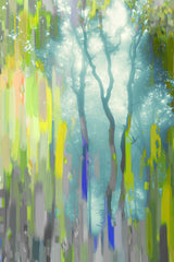Painted Tree Forest