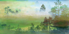 Misty Pine Forest