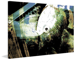 Fish Food 2