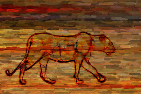 Big Cat Outline