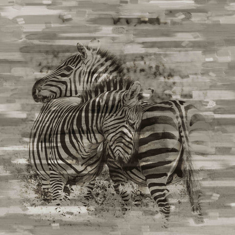 Zebra Buddies