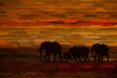 Elephants at Dusk