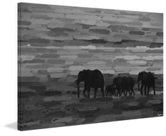 Pachyderm Family
