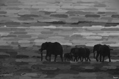 Pachyderm Family