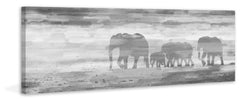 Parade of Tusks