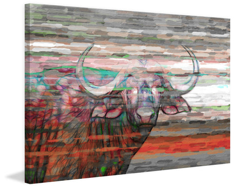 Buffalo Stare