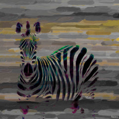 Stripes
