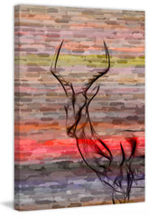 Antelope