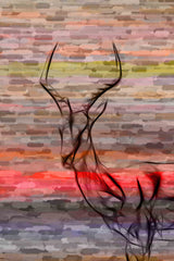 Antelope