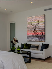 Antelope