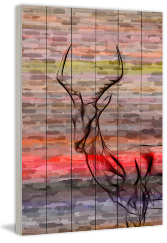 Antelope
