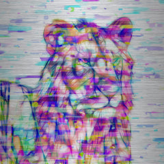 Lion Colors