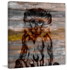 Primate