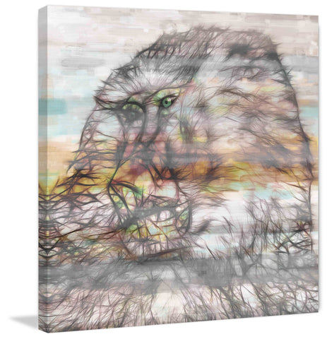 Baboon
