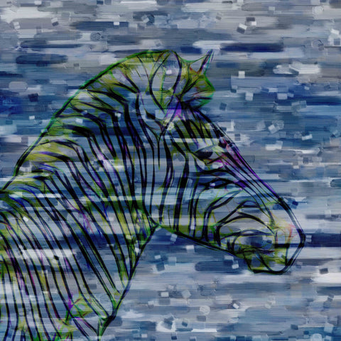 Zebra Profile