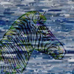 Zebra Profile