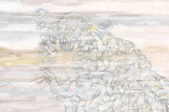 Wild Cat