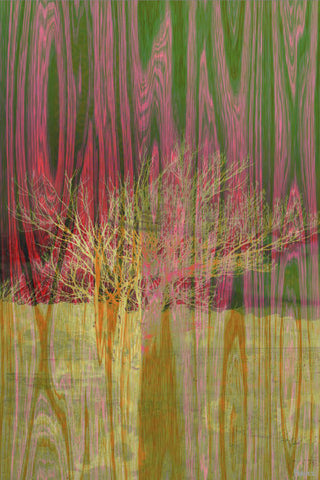 Tree 6