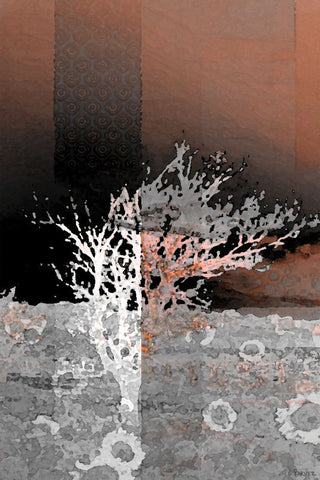 Crusted Coral