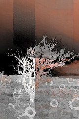 Crusted Coral