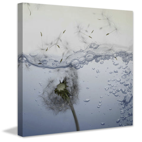 Dandy Underwater