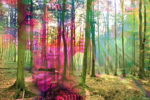 Reflections of Color