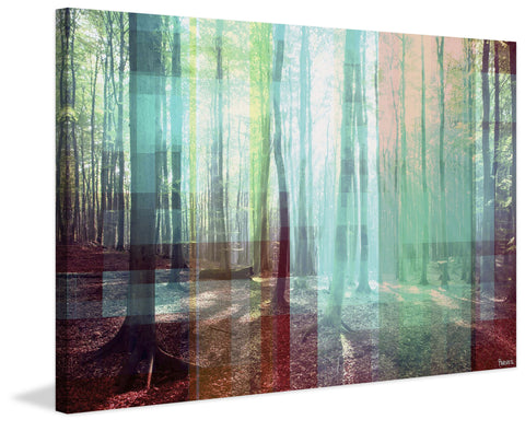 Light Through the Trees