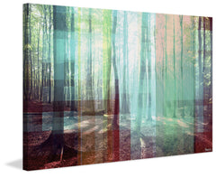 Light Through the Trees