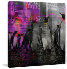 Penguins in Color