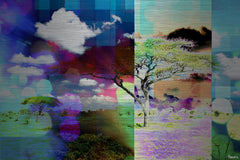 Split Visions