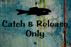 Catch and Release