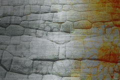 Incas