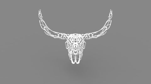 Canones Creek - Texas Longhorn Skull - 3D White